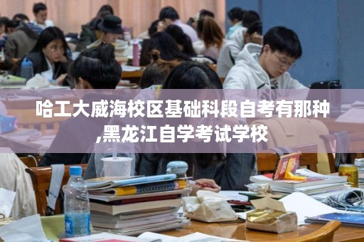哈工大威海校区基础科段自考有那种,黑龙江自学考试学校