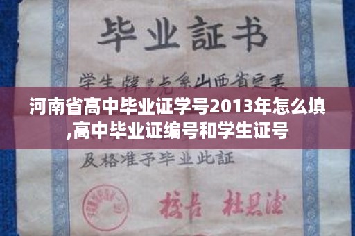 河南省高中毕业证学号2013年怎么填,高中毕业证编号和学生证号