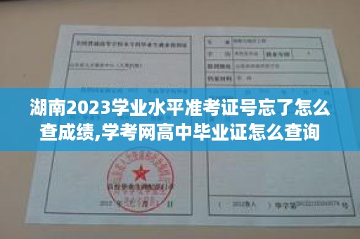 湖南2023学业水平准考证号忘了怎么查成绩,学考网高中毕业证怎么查询