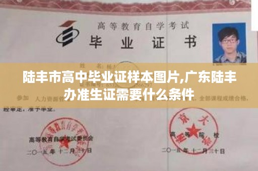 陆丰市高中毕业证样本图片,广东陆丰办准生证需要什么条件