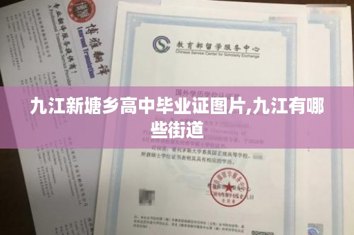 九江新塘乡高中毕业证图片,九江有哪些街道