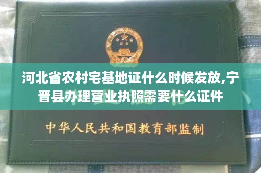 河北省农村宅基地证什么时候发放,宁晋县办理营业执照需要什么证件