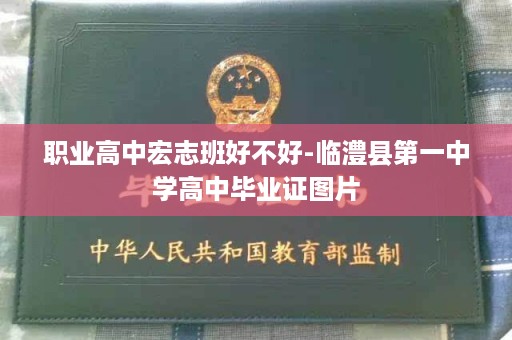 职业高中宏志班好不好-临澧县第一中学高中毕业证图片