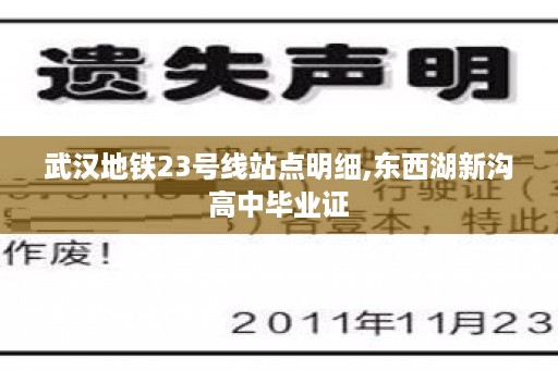 武汉地铁23号线站点明细,东西湖新沟高中毕业证