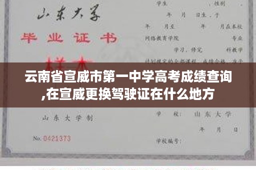 云南省宣威市第一中学高考成绩查询,在宣威更换驾驶证在什么地方
