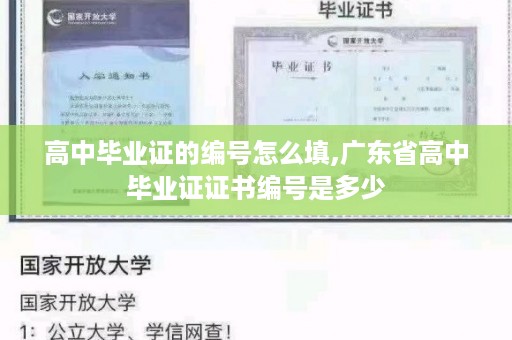 高中毕业证的编号怎么填,广东省高中毕业证证书编号是多少
