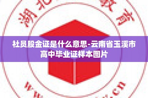 社员股金证是什么意思-云南省玉溪市高中毕业证样本图片