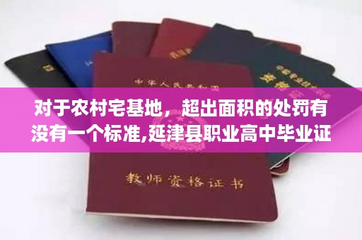 对于农村宅基地，超出面积的处罚有没有一个标准,延津县职业高中毕业证
