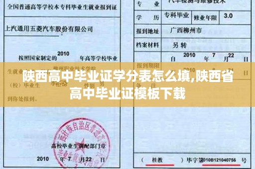 陕西高中毕业证学分表怎么填,陕西省高中毕业证模板下载