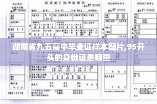 湖南省九五高中毕业证样本图片,95开头的身份证是哪里