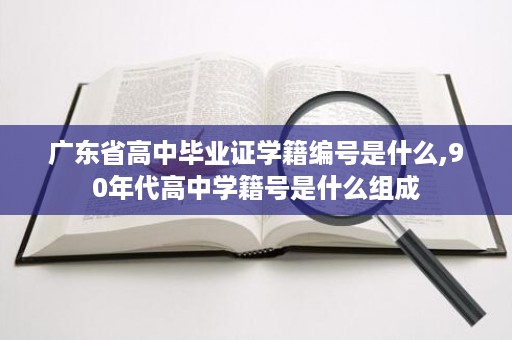 广东省高中毕业证学籍编号是什么,90年代高中学籍号是什么组成