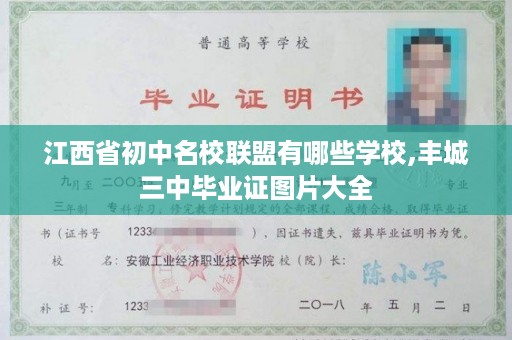 江西省初中名校联盟有哪些学校,丰城三中毕业证图片大全