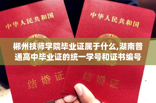 郴州技师学院毕业证属于什么,湖南普通高中毕业证的统一学号和证书编号是多少