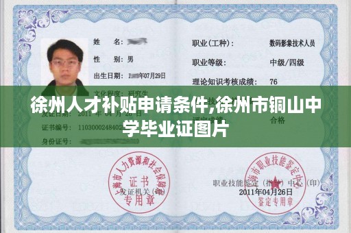 徐州人才补贴申请条件,徐州市铜山中学毕业证图片