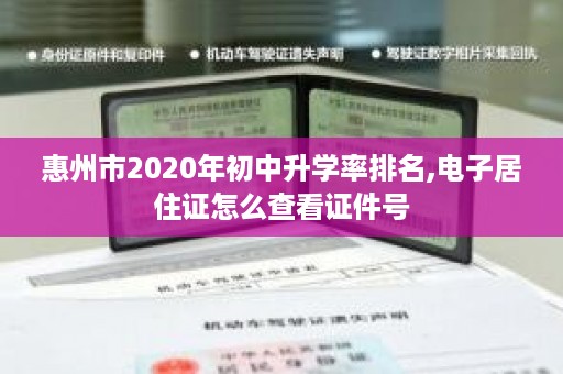 惠州市2020年初中升学率排名,电子居住证怎么查看证件号