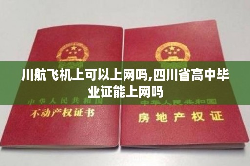 川航飞机上可以上网吗,四川省高中毕业证能上网吗