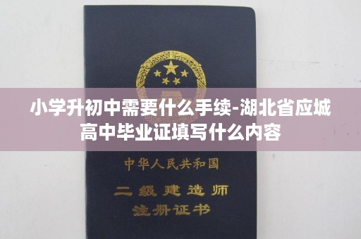 小学升初中需要什么手续-湖北省应城高中毕业证填写什么内容