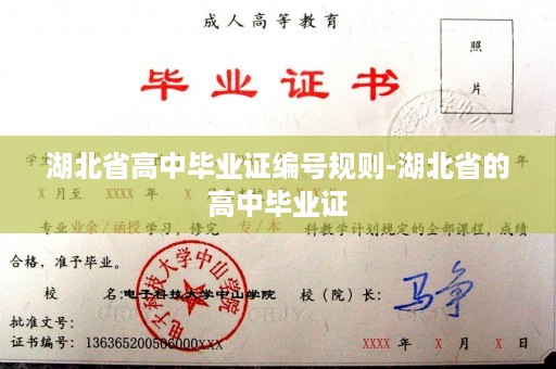 湖北省高中毕业证编号规则-湖北省的高中毕业证