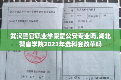 武汉警官职业学院是公安专业吗,湖北警官学院2023年选科会改革吗