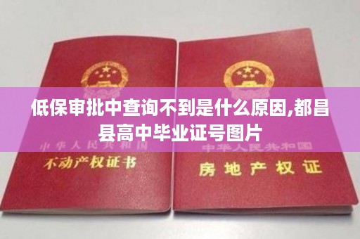 低保审批中查询不到是什么原因,都昌县高中毕业证号图片