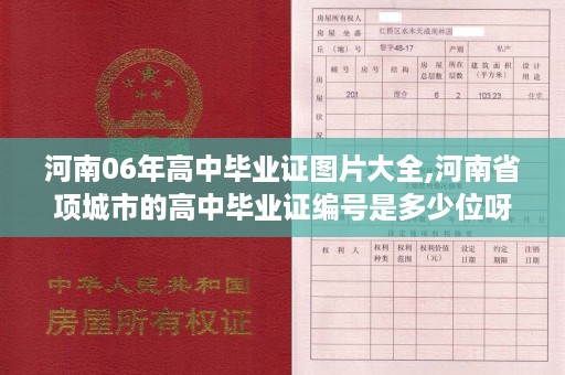 河南06年高中毕业证图片大全,河南省项城市的高中毕业证编号是多少位呀
