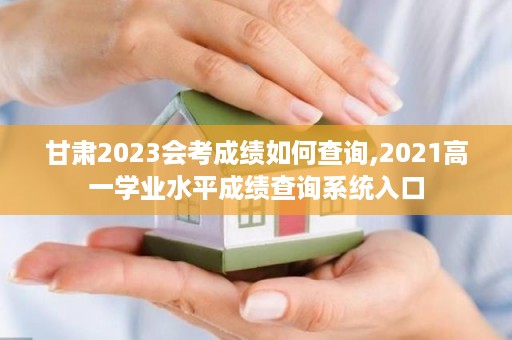 甘肃2023会考成绩如何查询,2021高一学业水平成绩查询系统入口
