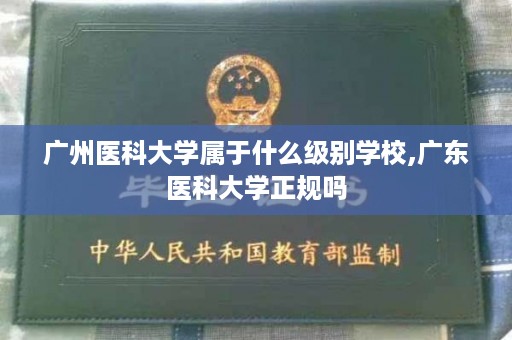 广州医科大学属于什么级别学校,广东医科大学正规吗