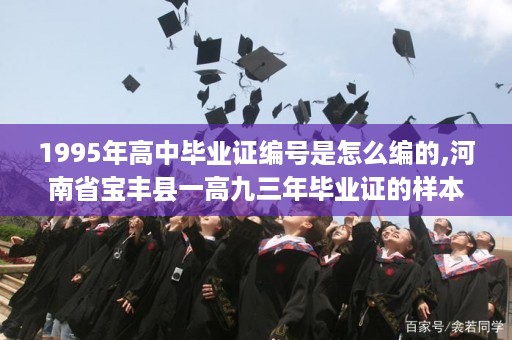1995年高中毕业证编号是怎么编的,河南省宝丰县一高九三年毕业证的样本