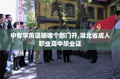 中专学历证明哪个部门开,湖北省成人职业高中毕业证