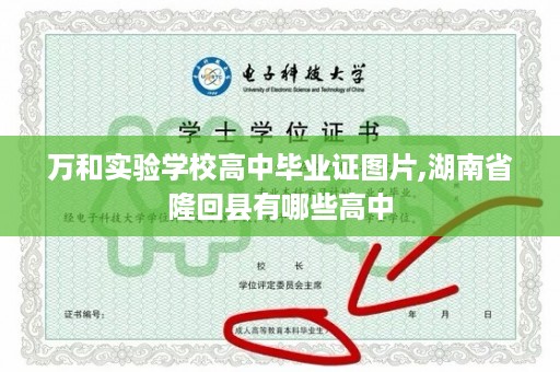 万和实验学校高中毕业证图片,湖南省隆回县有哪些高中