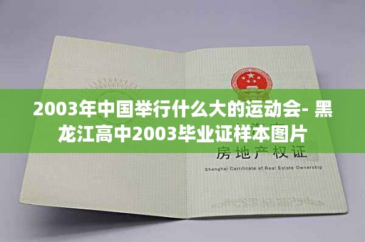 2003年中国举行什么大的运动会- 黑龙江高中2003毕业证样本图片