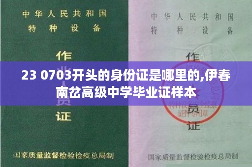 23 0703开头的身份证是哪里的,伊春南岔高级中学毕业证样本