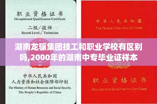 湖南龙骧集团技工和职业学校有区别吗,2000年的湖南中专毕业证样本