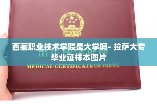 西藏职业技术学院是大学吗- 拉萨大专毕业证样本图片