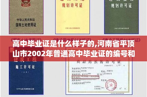高中毕业证是什么样子的,河南省平顶山市2002年普通高中毕业证的编号和学号
