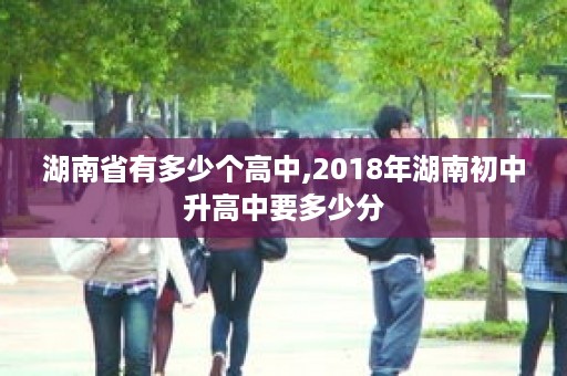 湖南省有多少个高中,2018年湖南初中升高中要多少分
