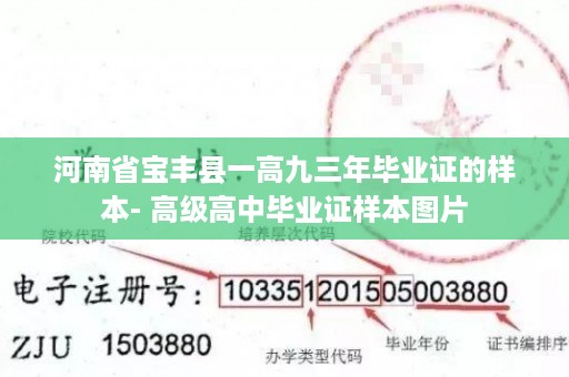 河南省宝丰县一高九三年毕业证的样本- 高级高中毕业证样本图片