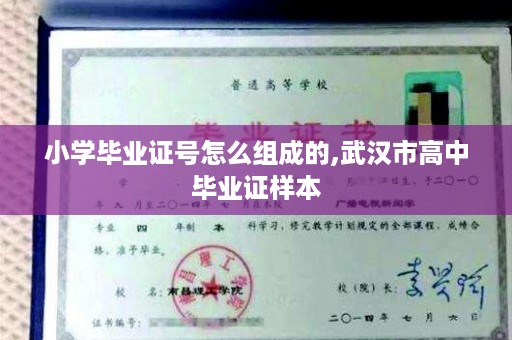 小学毕业证号怎么组成的,武汉市高中毕业证样本