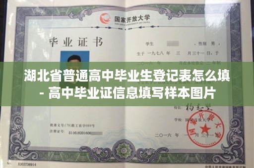 湖北省普通高中毕业生登记表怎么填- 高中毕业证信息填写样本图片