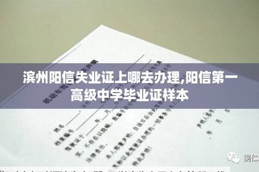 滨州阳信失业证上哪去办理,阳信第一高级中学毕业证样本
