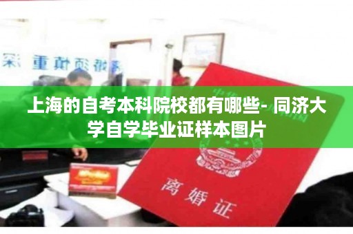 上海的自考本科院校都有哪些- 同济大学自学毕业证样本图片