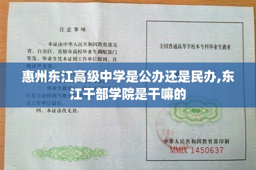 惠州东江高级中学是公办还是民办,东江干部学院是干嘛的