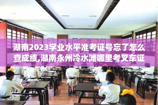 湖南2023学业水平准考证号忘了怎么查成绩,湖南永州冷水滩哪里考叉车证