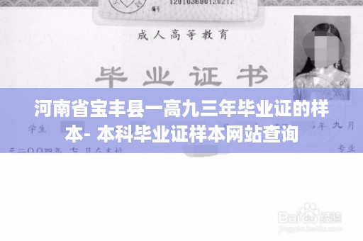 河南省宝丰县一高九三年毕业证的样本- 本科毕业证样本网站查询