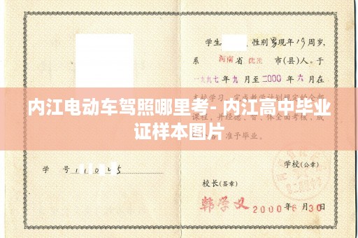 内江电动车驾照哪里考- 内江高中毕业证样本图片