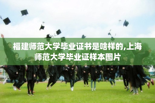 福建师范大学毕业证书是啥样的,上海师范大学毕业证样本图片