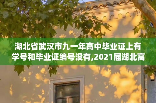 湖北省武汉市九一年高中毕业证上有学号和毕业证编号没有,2021届湖北高中毕业生毕业证有没有