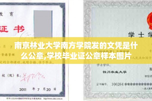 南京林业大学南方学院发的文凭是什么公章,学校毕业证公章样本图片