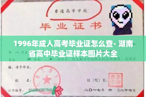 1996年成人高考毕业证怎么查- 湖南省高中毕业证样本图片大全