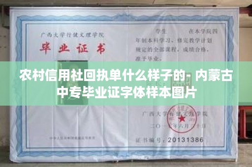 农村信用社回执单什么样子的- 内蒙古中专毕业证字体样本图片